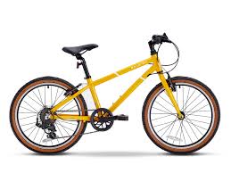 Raleigh Pop 20